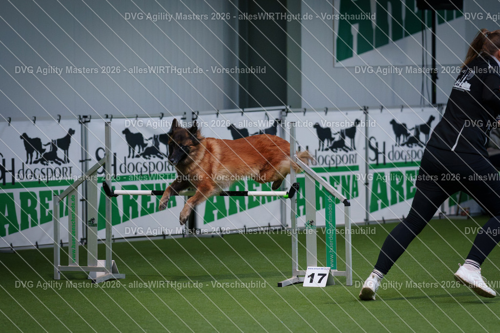 allesWIRTHgut_Tierfotografie-DVG_Agility_Masters_2026-11_08-7R501209 | Professionelle Tierfotografie in Mönchengladbach von Daniel Wirth (allesWIRTHgut). Liebevolle & natürliche Bilder von Hunden & Katzen für unvergessliche Erinnerungen.