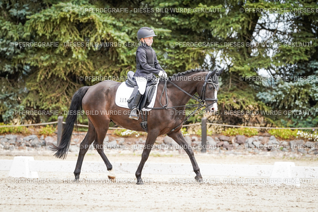 DSC02847 | Pferdegrafie