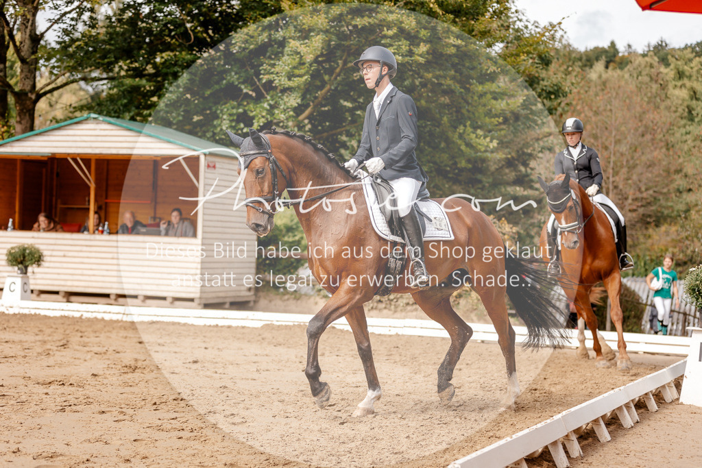 3I6A7223 | Stimmungsvolle Portraits und Reitsportfotografie im Ruhrgebiet und im Münsterland.

Pferdefotografie, Hundefotografie, Tierfotografie, Reportagen, Portraits von Tier und Mensch, Turnierfotografie in Bochum, Recklinghausen, Marl, Haltern am See, Dülmen.. - Realisiert mit Pictrs.com