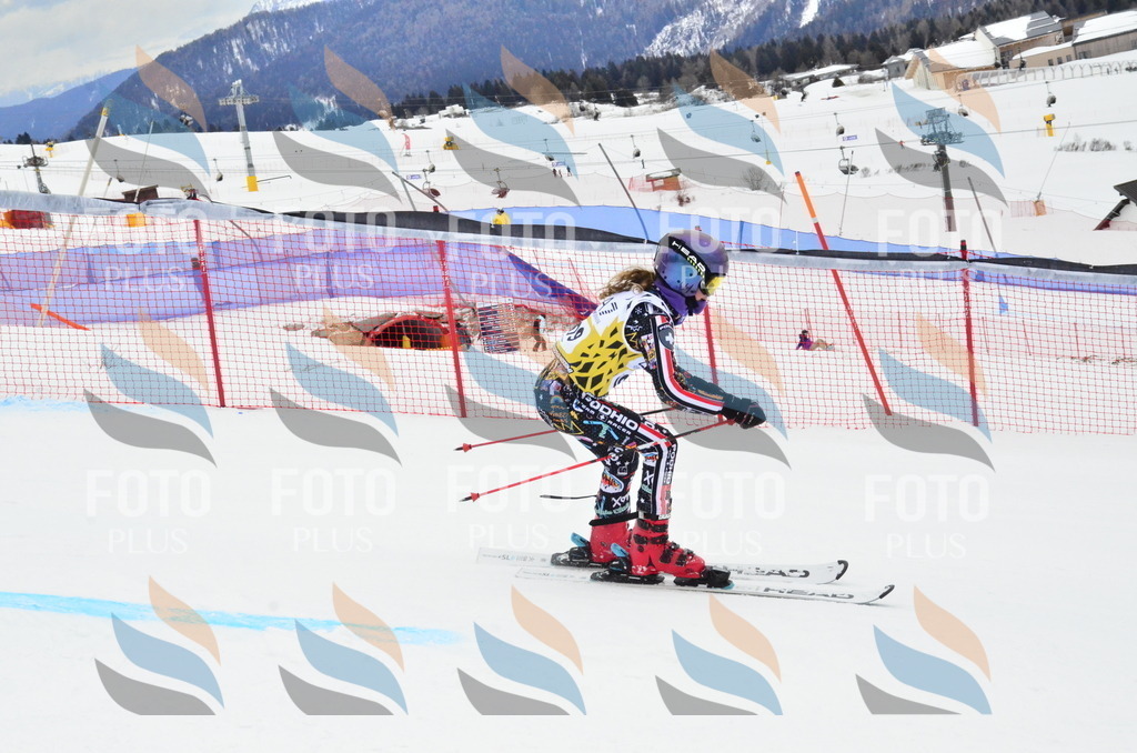 _ELE4125 | holidayphoto