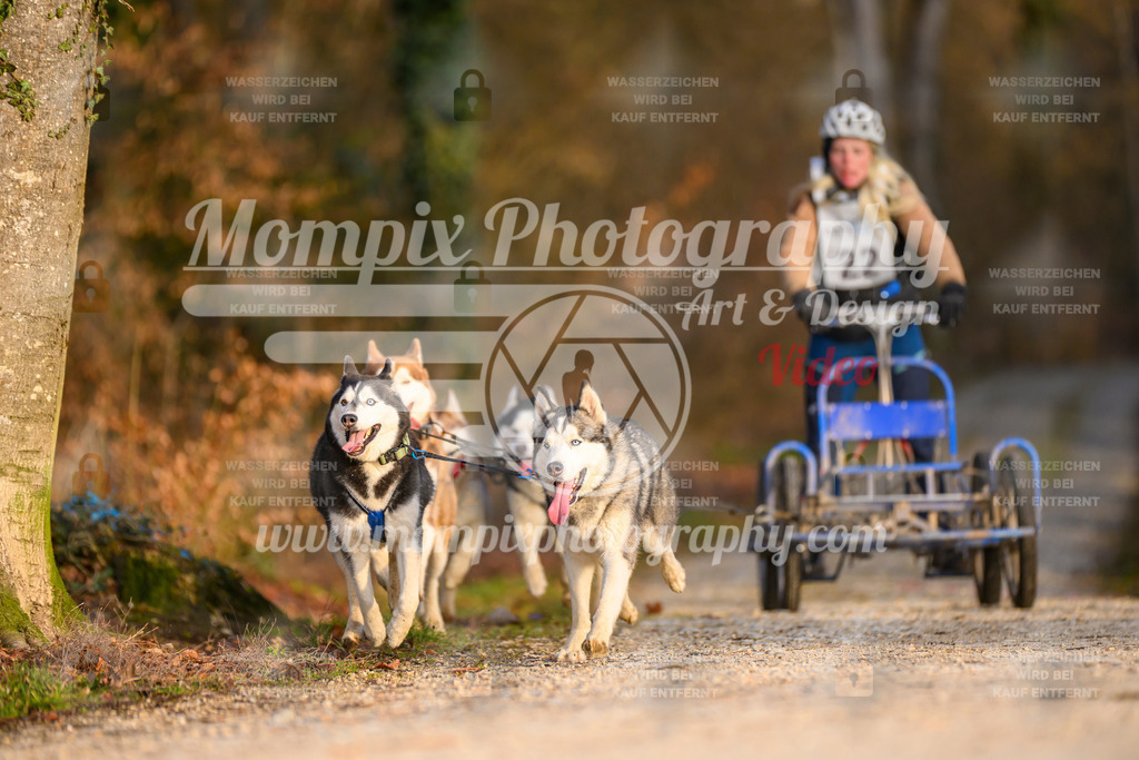 MompixPhotography_6ReiatRennen2026_SO_Kart-14 | PayLife