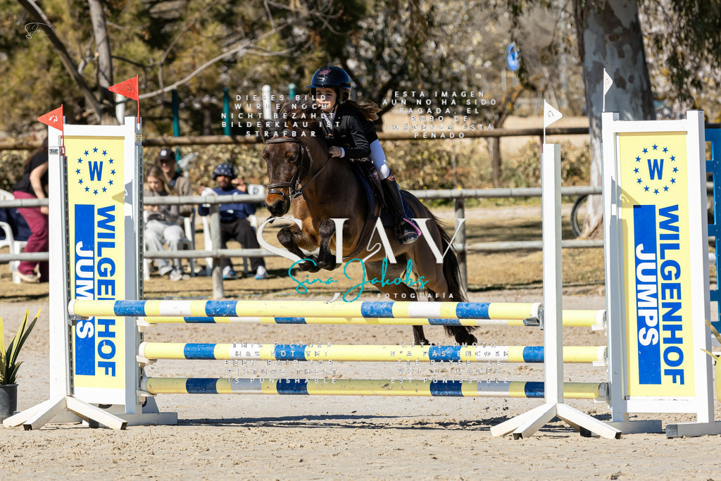 IMG_9175 | s-jay-photography - Realisiert mit Pictrs.com