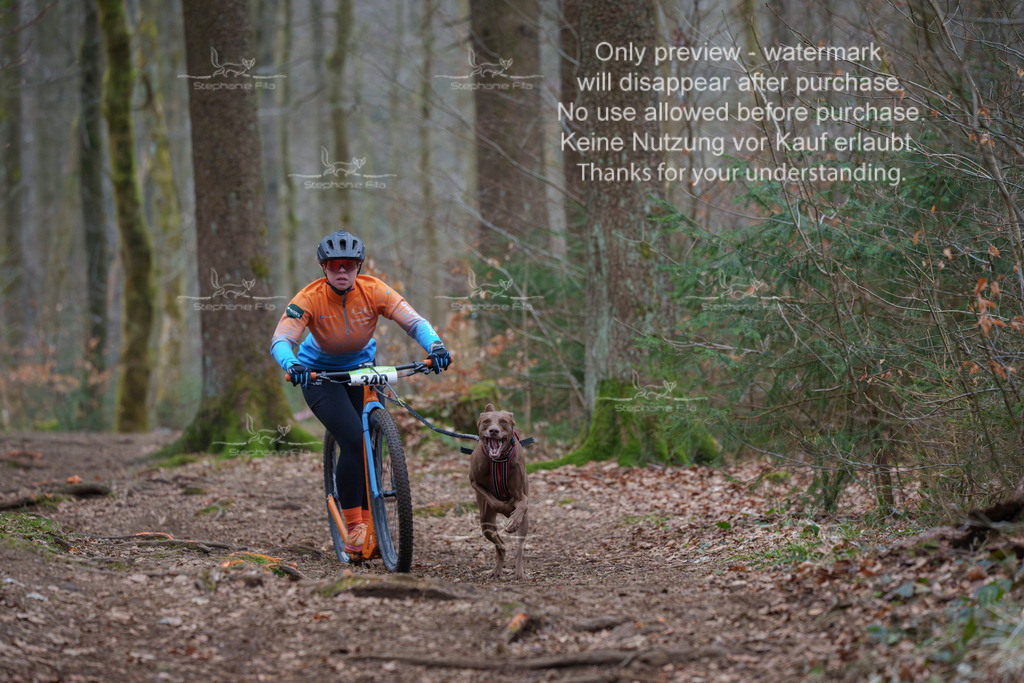 Scooter_So-22 | stephaniefillaphotographie - Realisiert mit Pictrs.com