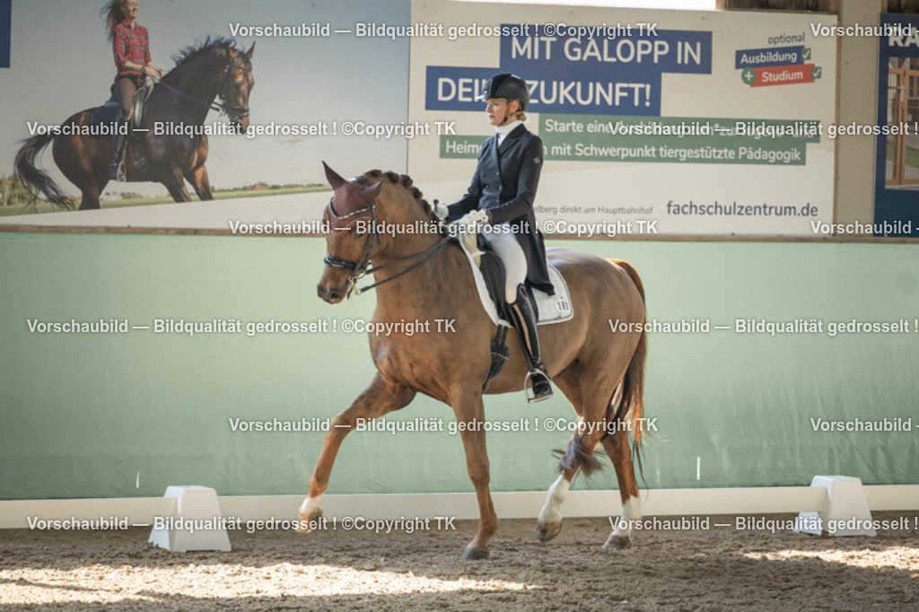 _D5A1264 | Emotionale Pferde- & People-Fotografie rund um Heidelberg, Leimen & Umgebung. Natürliche Fotos von Pferd, Mensch & Familie. Jetzt Termin sichern!