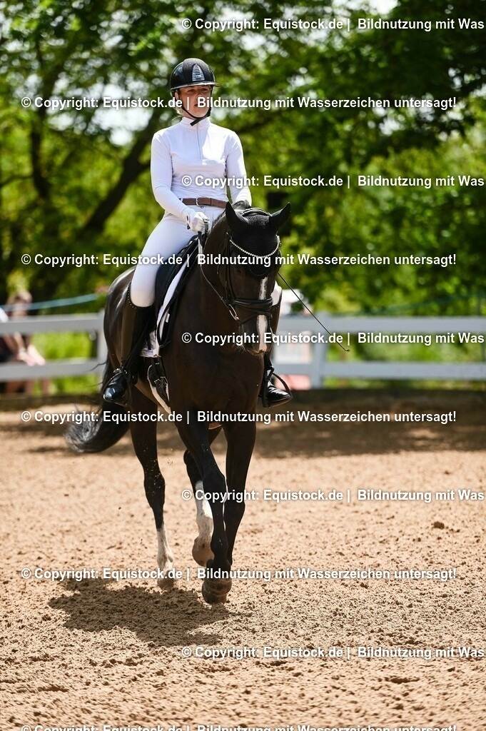 20230716_03_Dressurprfg. Kl.L - Tr._0046 | equistock