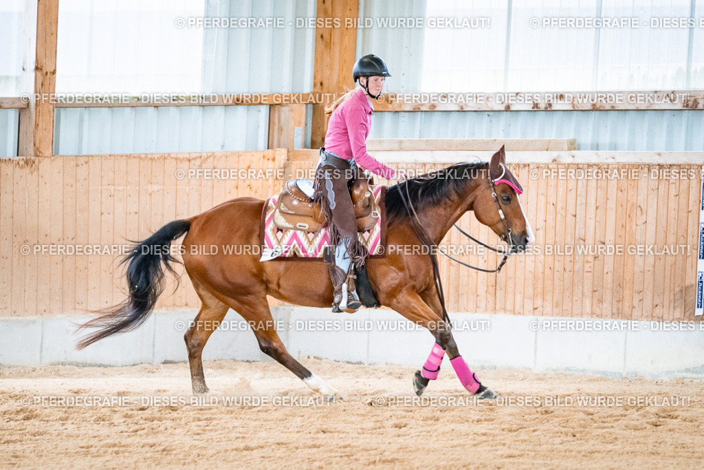 DSC09633 | Pferdegrafie