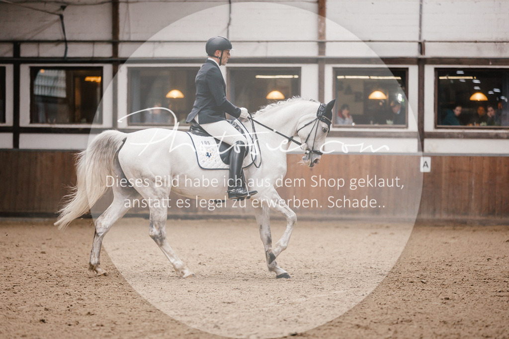 3I6A6870 | Stimmungsvolle Portraits und Reitsportfotografie im Ruhrgebiet und im Münsterland.

Pferdefotografie, Hundefotografie, Tierfotografie, Reportagen, Portraits von Tier und Mensch, Turnierfotografie in Bochum, Recklinghausen, Marl, Haltern am See, Dülmen.. - Realisiert mit Pictrs.com