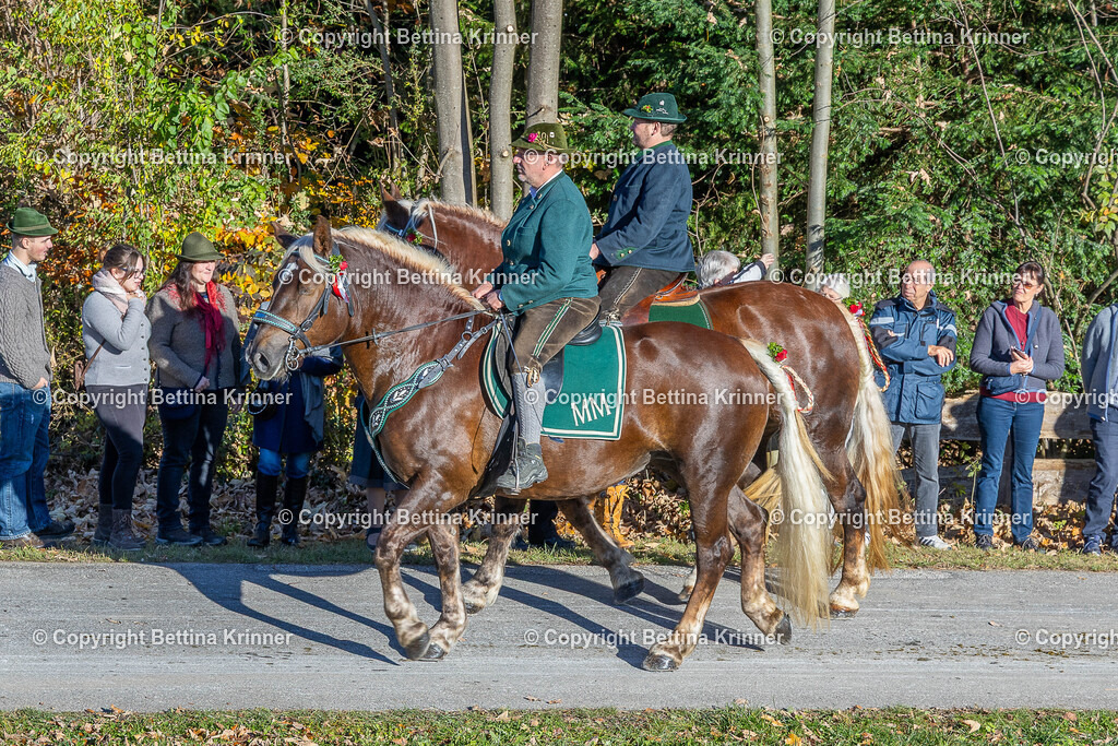LBT25-211 | foto-bettina-krinner - Realisiert mit Pictrs.com