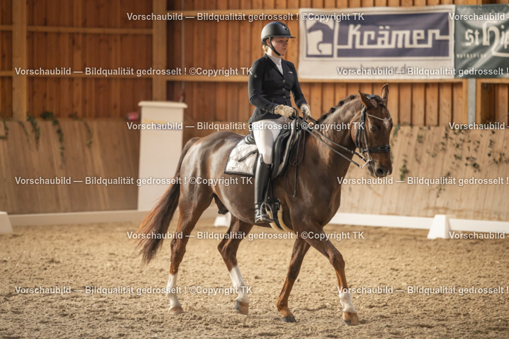 _D5A3338 | Emotionale Pferde- & People-Fotografie rund um Heidelberg, Leimen & Umgebung. Natürliche Fotos von Pferd, Mensch & Familie. Jetzt Termin sichern!