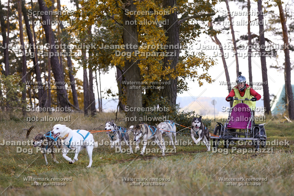 Dog Paparazzi - Elsholz 25 -35 | Dog Paparazzi Jeanette Grottendiek Fotografie & Videografie - Realisiert mit Pictrs.com