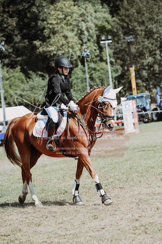 DSC_9598 | Pferde- und Turnierfotografie in Westsachsen. Pferdeportraits, Auftragszeichnungen und intuitive Kunst.