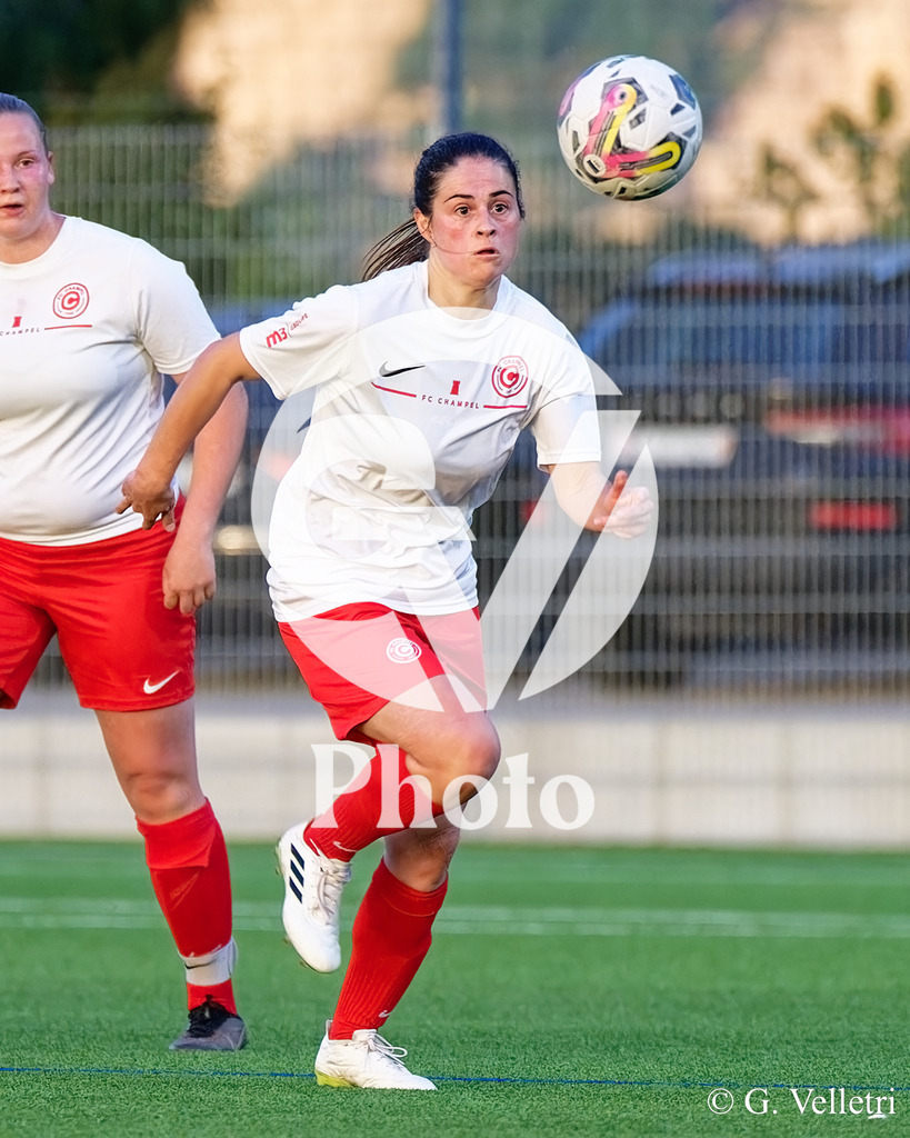 DSC_0263 | Velletri Photo