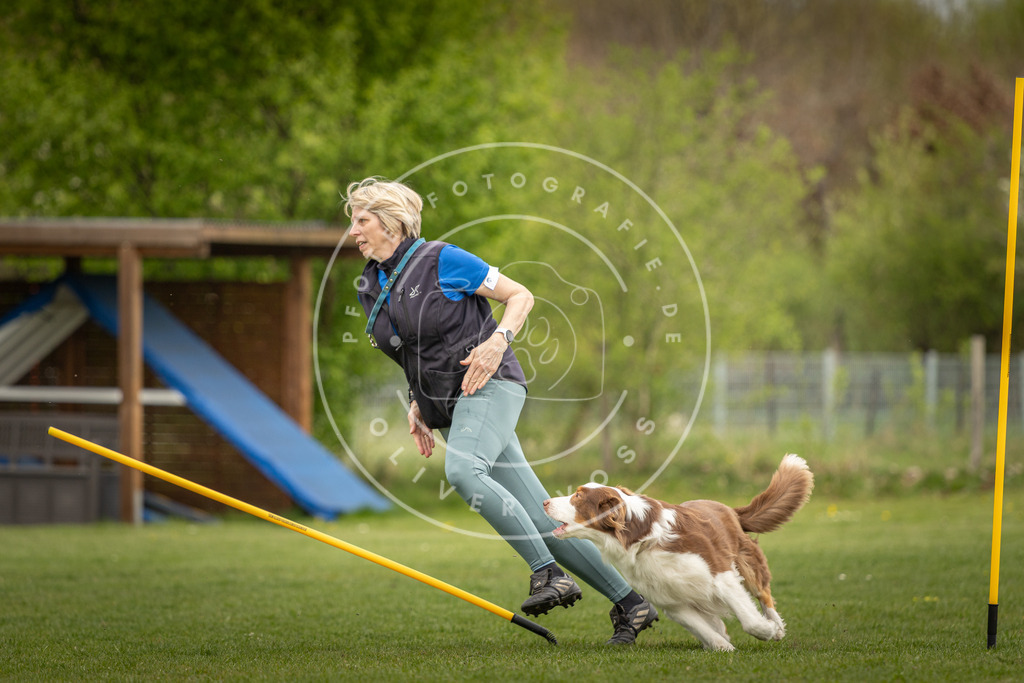 Pfotenfotografie_DV3A7438 | Hundefotografie, Tierfotograf, Pfotenfotografie, Fotoshooting Hund, Hunde Portrait, Hundesport, Hundeportraits, Heideshooting, Hunde, Sportfotograf, Hundefotograf, Turnierhundsport, THS,  - Realisiert mit Pictrs.com