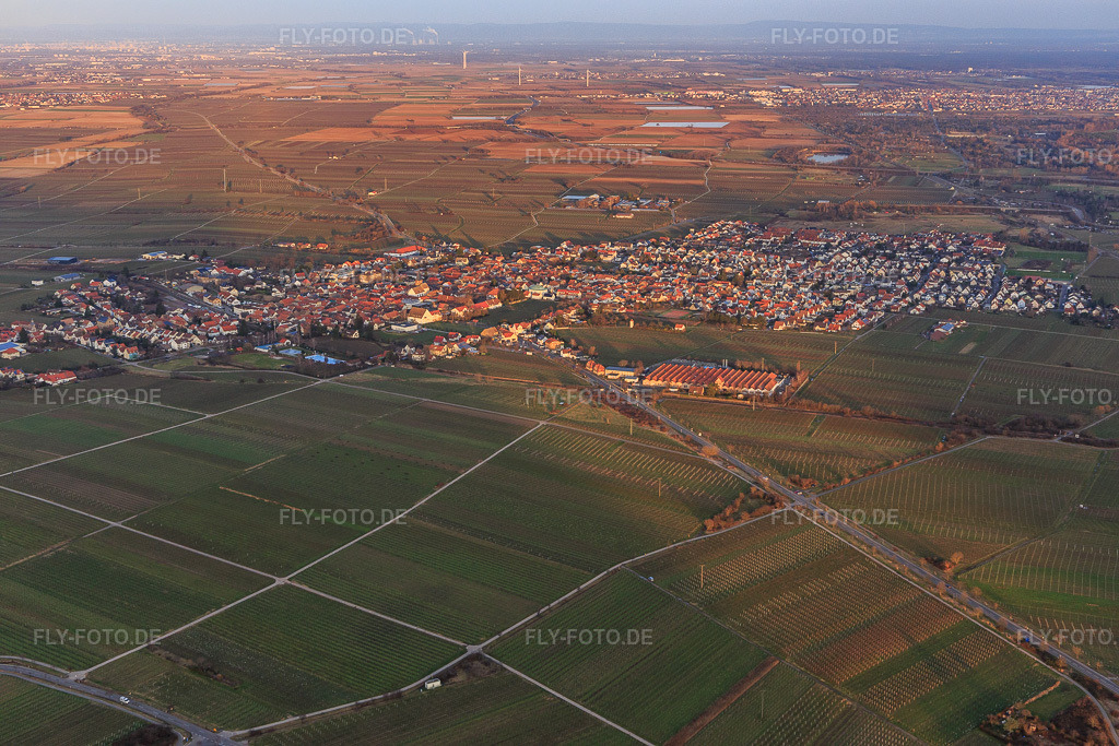 Luftbild: Ortsansicht von Westen im Ortsteil Mußbach in Neustadt im Bundesland Rheinland-Pfalz in Deutschland. Foto: IMG_130608.jpg vom 12.02.2022 durch Werner Riehm/FLY-FOTO.de