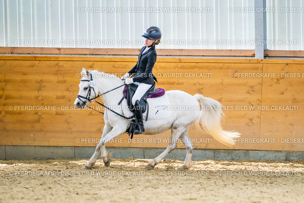 DSC05001 | Pferdegrafie