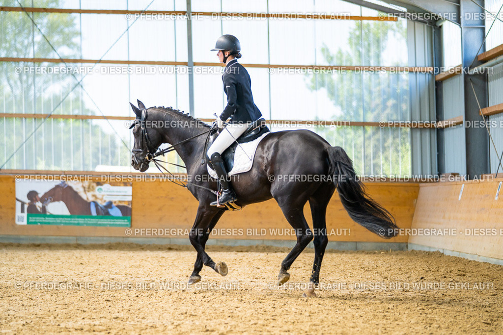 DSC09379 | Pferdegrafie