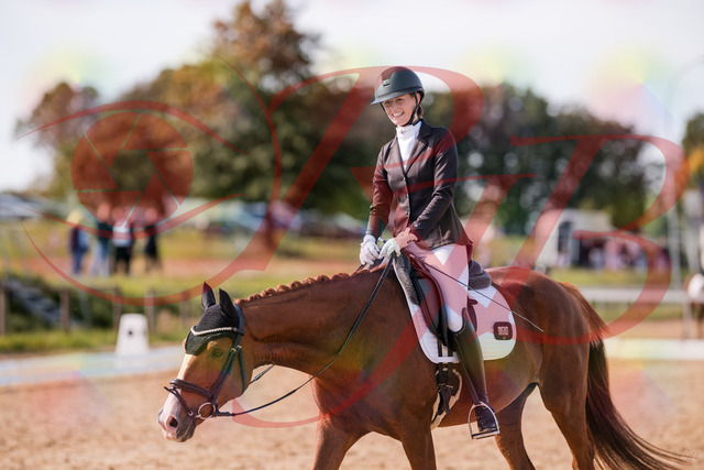 2026_10_03_Siefer-Hof_133323_Z81_92141355 | Professionelle Reitsport-, Turnier- und Eventfotografie von Robert Broda. Galerien mit ausgewählten und bearbeiteten Bildern direkt online ansehen und bestellen.