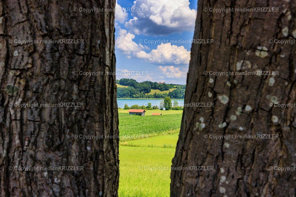 _J3A8110 | medienkrizzler - Realisiert mit Pictrs.com