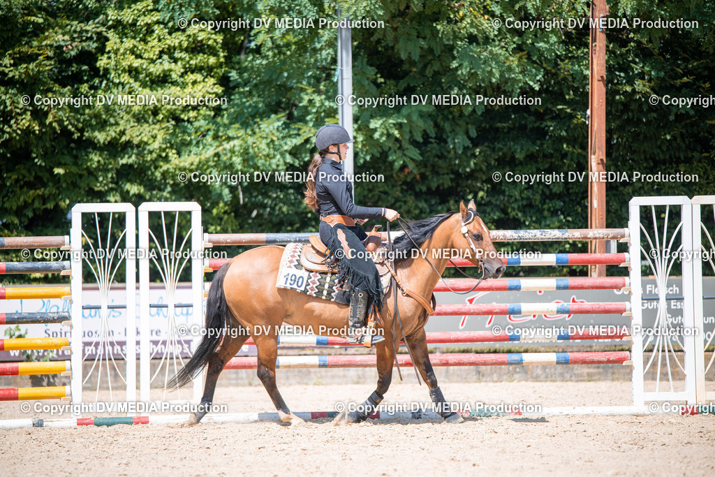 ZS1_1275 | dv-media-shop - Realisiert mit Pictrs.com