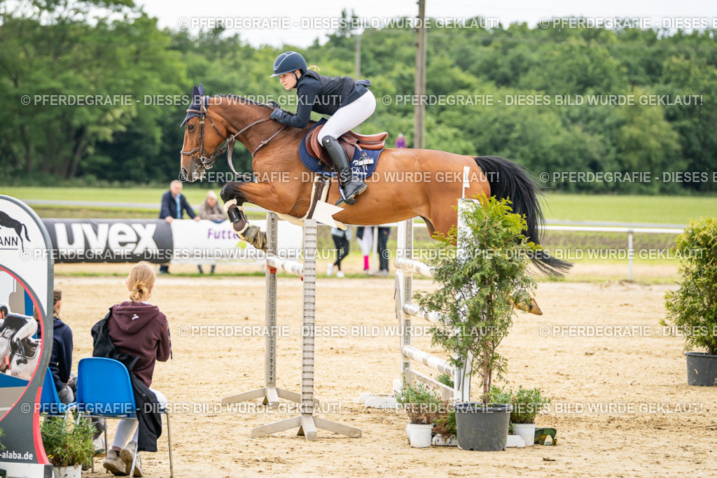 DSC06256 | Pferdegrafie