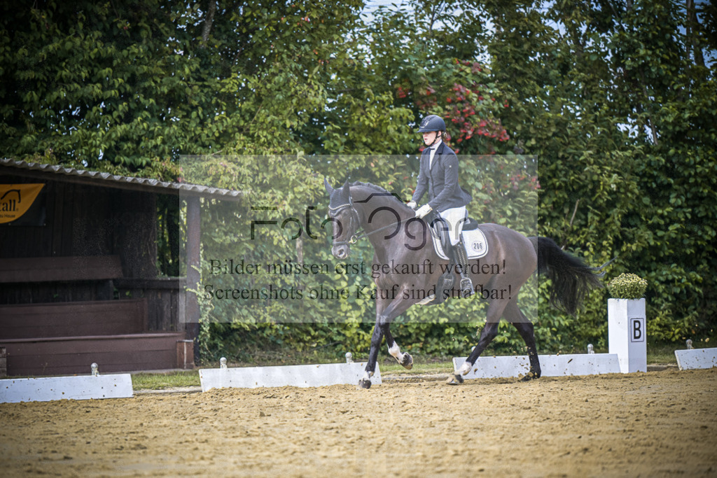 DOS_6309 | Entdecke hochwertige Reitturnierfotos von Foto Oger. Professionell, emotional und authentisch – jetzt Lieblingsmomente im Shop bestellen.Deutschlandweite Turnierfotografie. - Realisiert mit Pictrs.com
