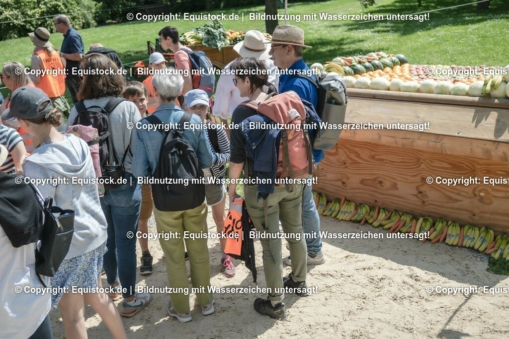 ZFC_3988 | equistock