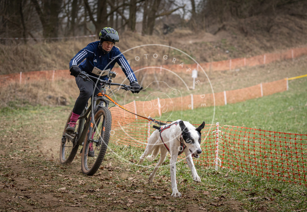 Pfotenfotografie_DV3A5170 | Hundefotografie, Tierfotograf, Pfotenfotografie, Fotoshooting Hund, Hunde Portrait, Hundesport, Hundeportraits, Heideshooting, Hunde, Sportfotograf, Hundefotograf, Turnierhundsport, THS,  - Realisiert mit Pictrs.com