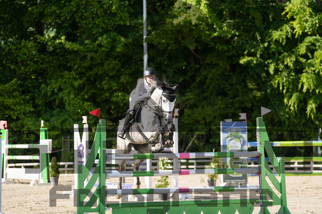 DSC02475 | Julian Held Fotografie - Realisiert mit Pictrs.com