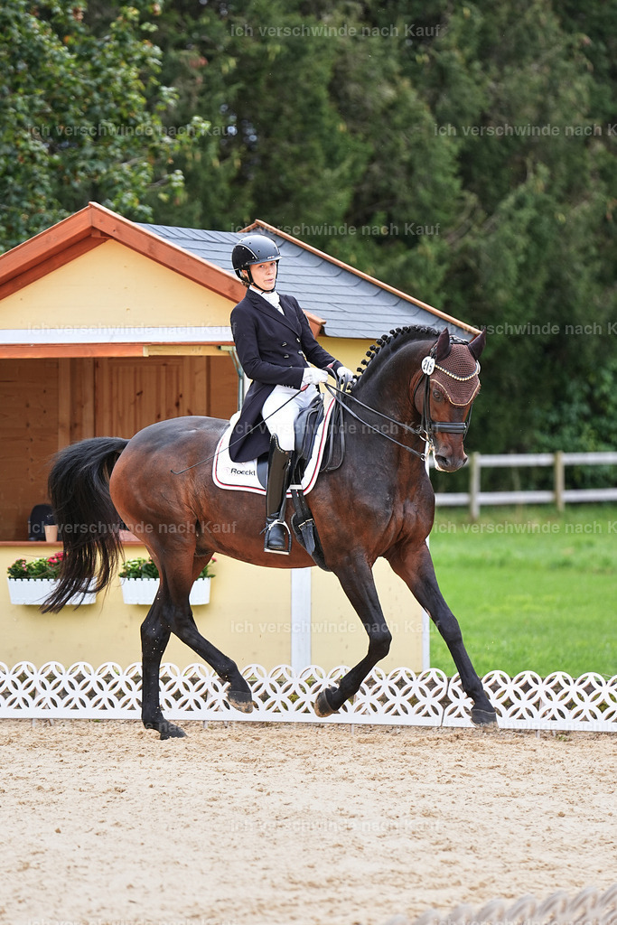 11-215-Dressur S___-Marixx-1744 | working equitationturnier fotograf videograf stoibphotography marixx film working equitation deutschland reitsport turnierfotografie eventfotografie equestrian events