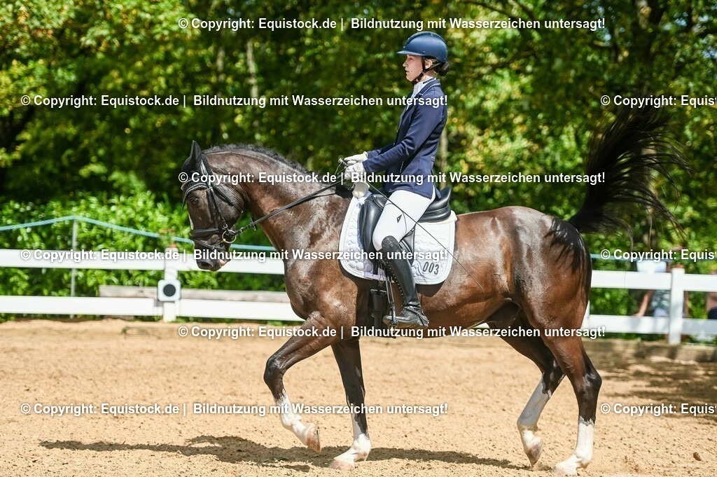 20230715_02_Dressurreiterprüfung Kl.L_0268 | equistock