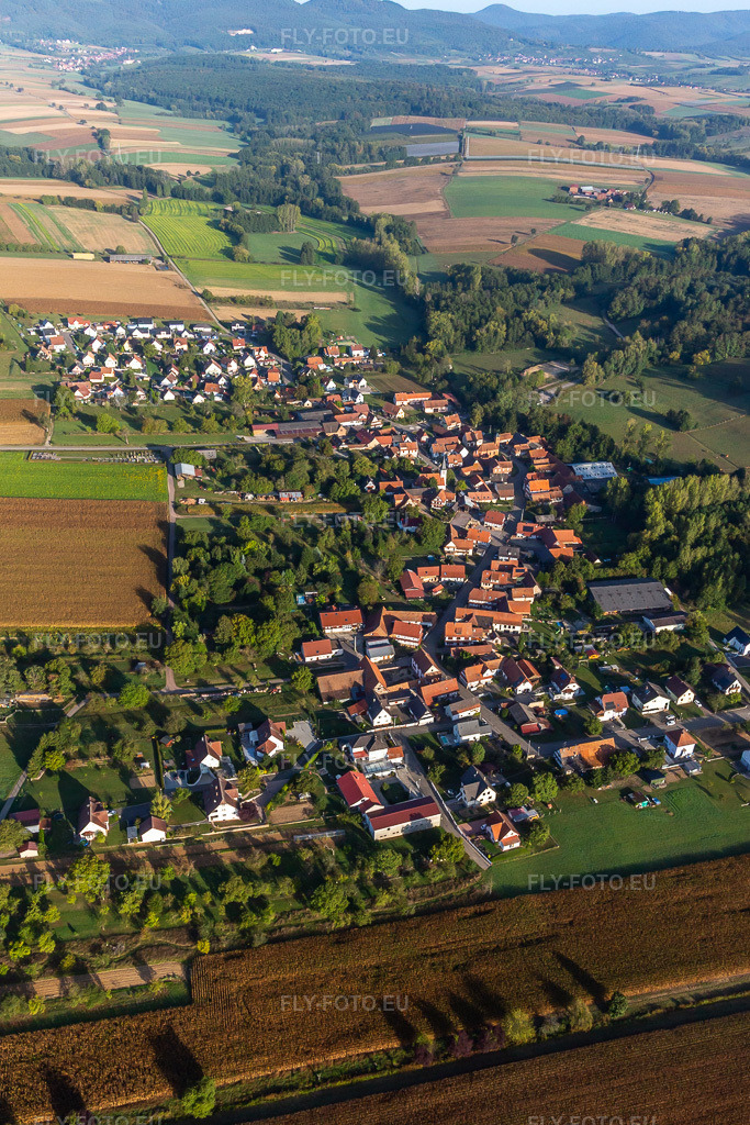 Vue aérienne: Vue de la ville depuis le sud-ouest à Ingolsheim dans le département Bas Rhin, France. Photo: IMG_139249.jpg prise le 01/10/2023 par Werner Riehm/FLY-FOTO.eu – Résolution de l'original: 3169 x 4754 px