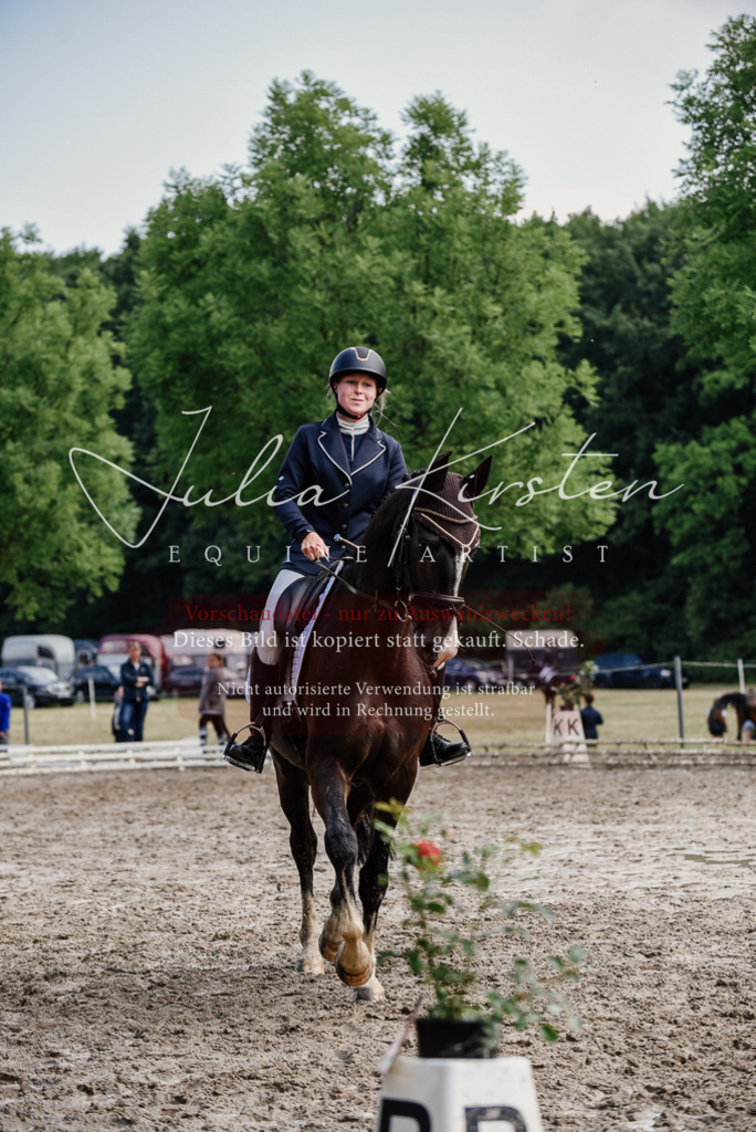 DSC_0101 | Pferde- und Turnierfotografie in Westsachsen. Pferdeportraits, Auftragszeichnungen und intuitive Kunst.