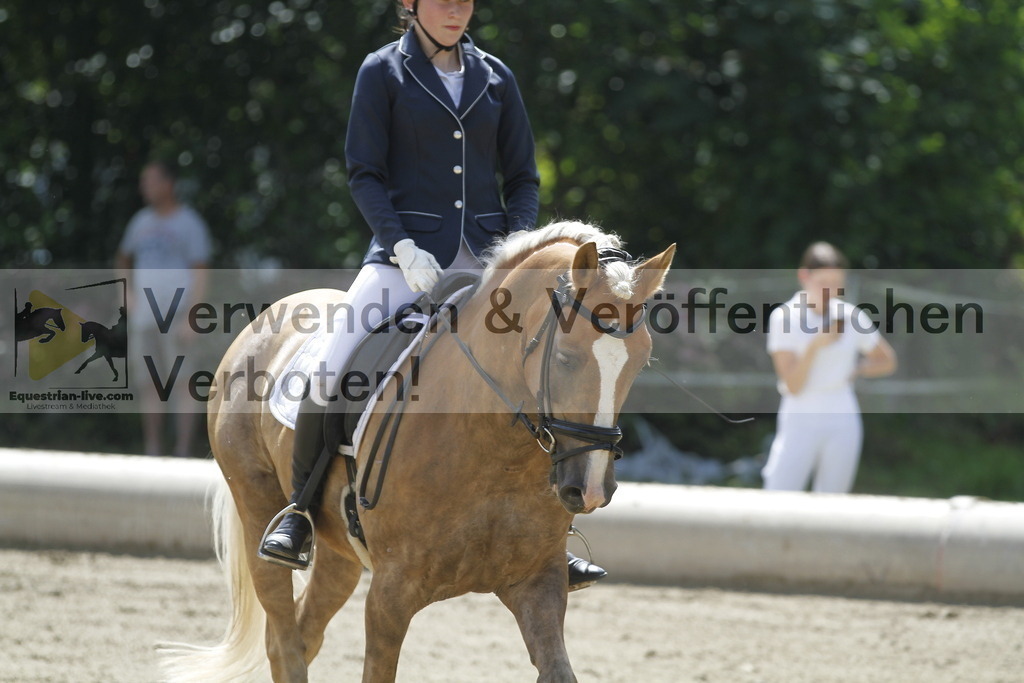 _MG_0774 | equestrian-live-com