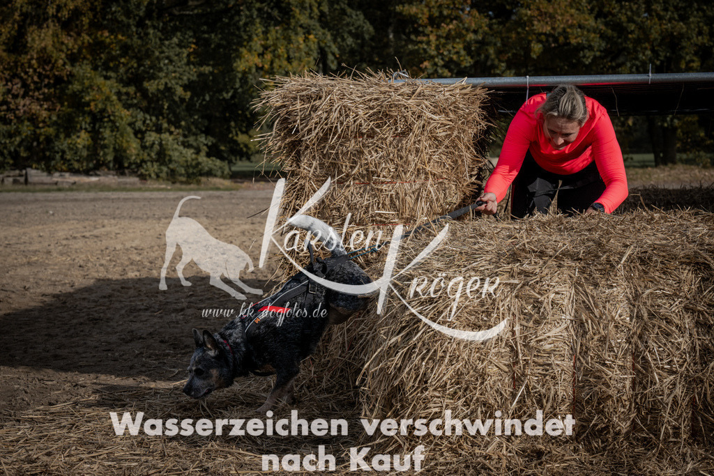 1215_ZZ93837 | kk-dogfotos