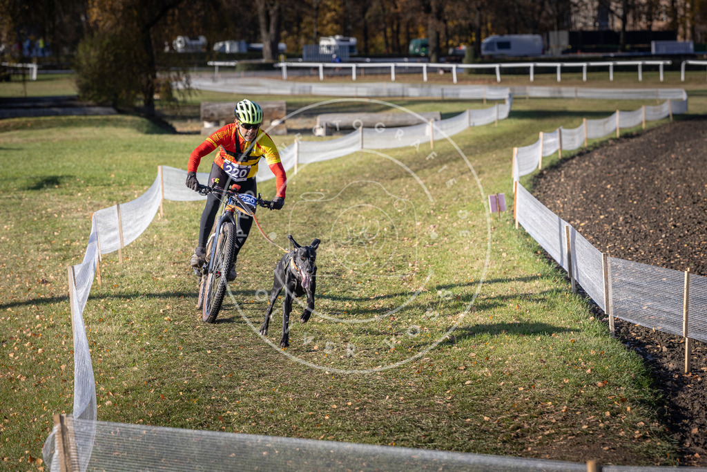 CaniXpix_DV3A3421 | Hundefotografie, Tierfotograf, Pfotenfotografie, Fotoshooting Hund, Hunde Portrait, Hundesport, Hundeportraits, Heideshooting, Hunde, Sportfotograf, Hundefotograf, Turnierhundsport, THS,  - Realisiert mit Pictrs.com