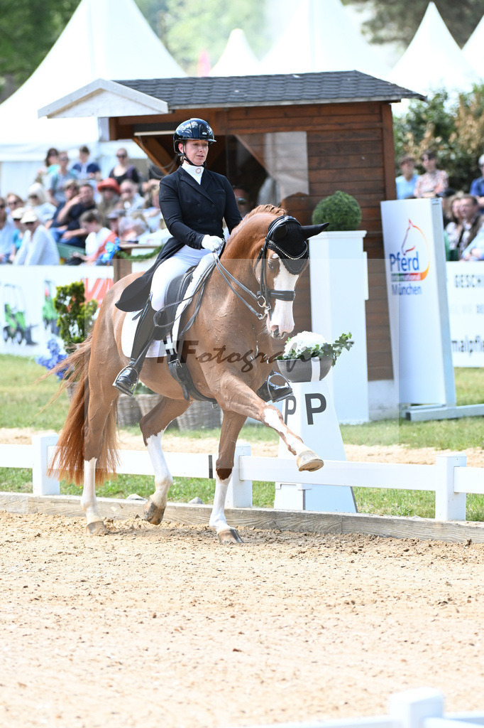 Harsdorf_Daydream d Arion_11252926 | hf-fotografie - Realisiert mit Pictrs.com