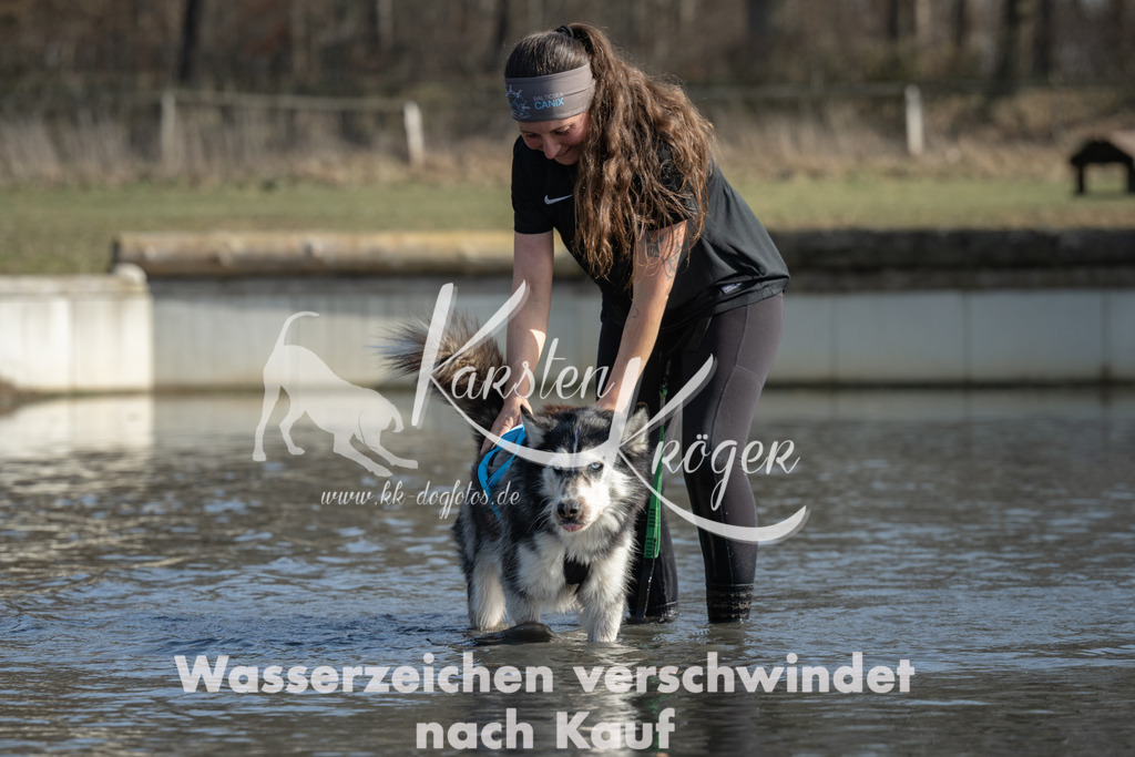 1330_ZZ96678 | kk-dogfotos
