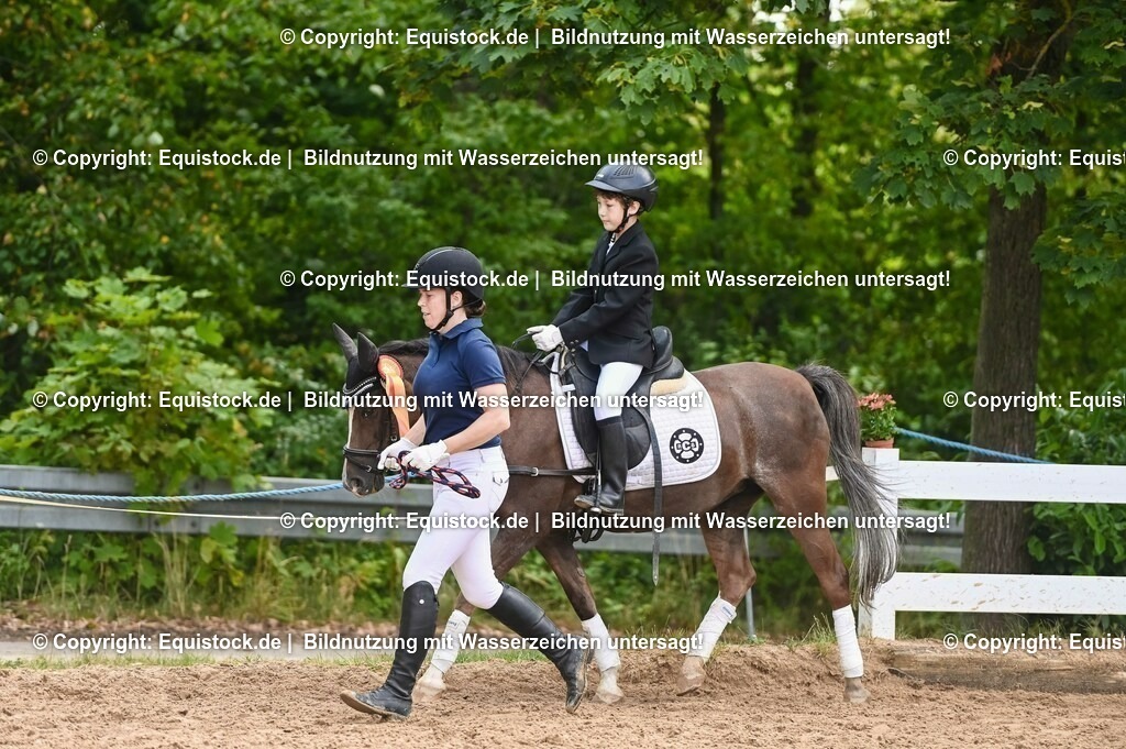 20230716_11_Führzügel-WB_0120 | equistock