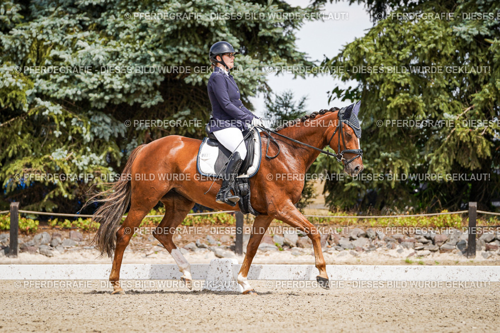 DSC02153 | Pferdegrafie