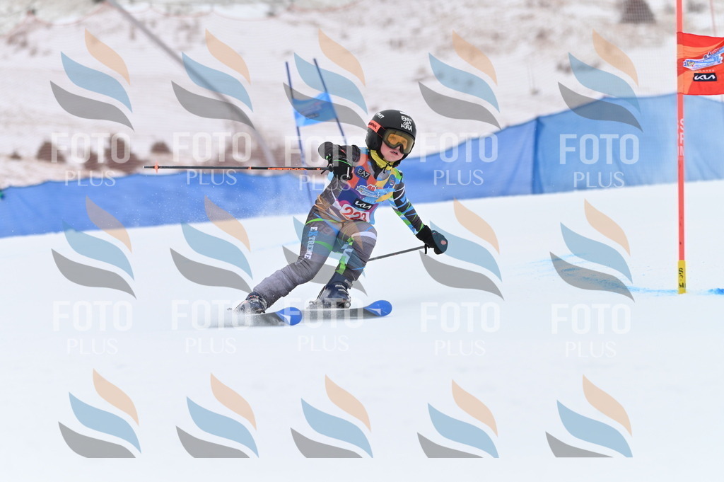 BGV_3218 | holidayphoto