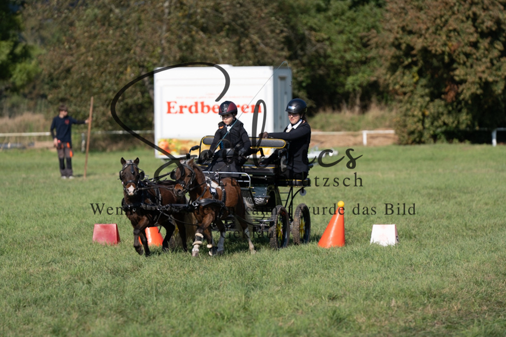 A7V04383 | Pferdefotograf