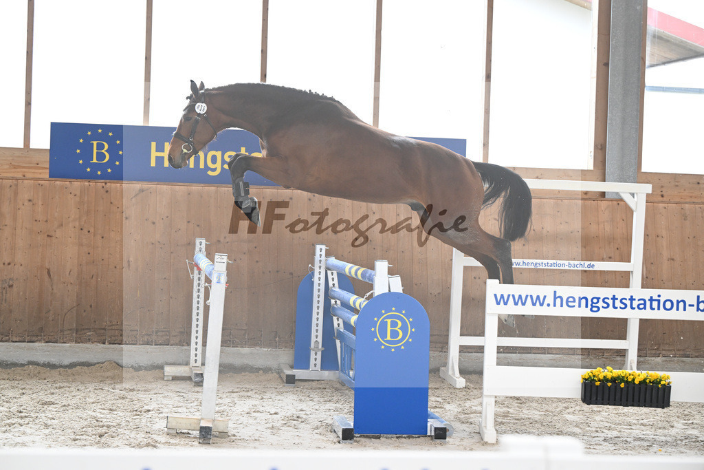Kat-Nr. 58 Tares Z v. Taycan B_Schaedelbauer_14260292 | hf-fotografie - Realizzato con Pictrs.com