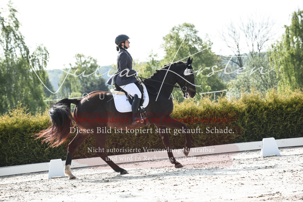 20230518_JK-Röhrsdorf-09-1025 | Pferde- und Turnierfotografie in Westsachsen. Pferdeportraits, Auftragszeichnungen und intuitive Kunst.
