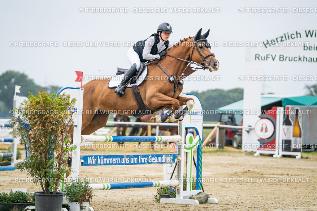 DSC02040 | Pferdegrafie