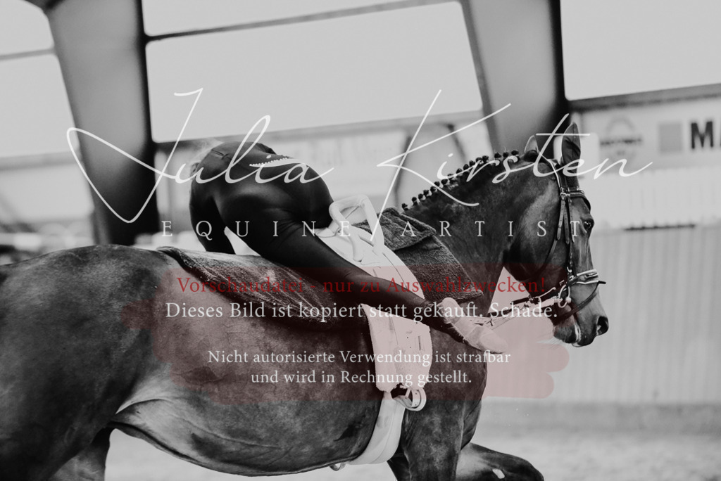 DSC_6912 | Pferde- und Turnierfotografie in Westsachsen. Pferdeportraits, Auftragszeichnungen und intuitive Kunst.