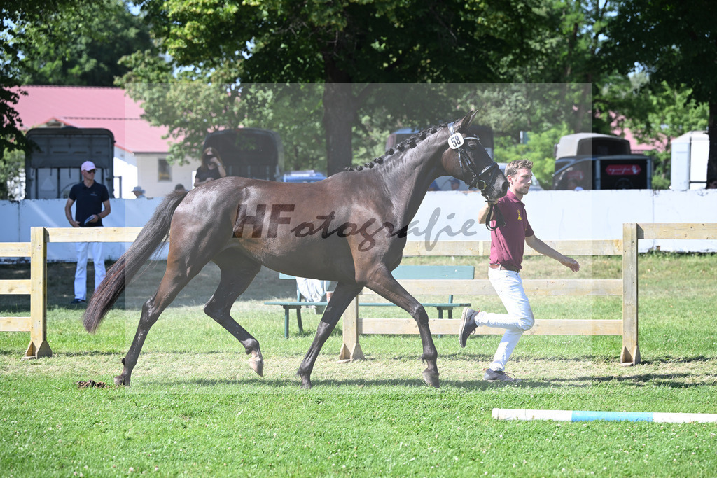 Kat-Nr. 58 Gacia Zackordonna v. Zackorado_Boensch_19251180 | hf-fotografie - Realizzato con Pictrs.com