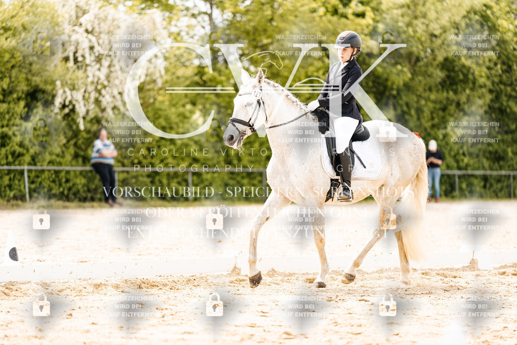CK902503 | Turnierfotografie Pferdefotografie Trier Rheinland-Pfalz Pferdesport Reitsport Tierfotografie Sportfotografie Pferdevideo Pferdevideografie Equestrianvideography equestrianphotography  - Realisiert mit Pictrs.com