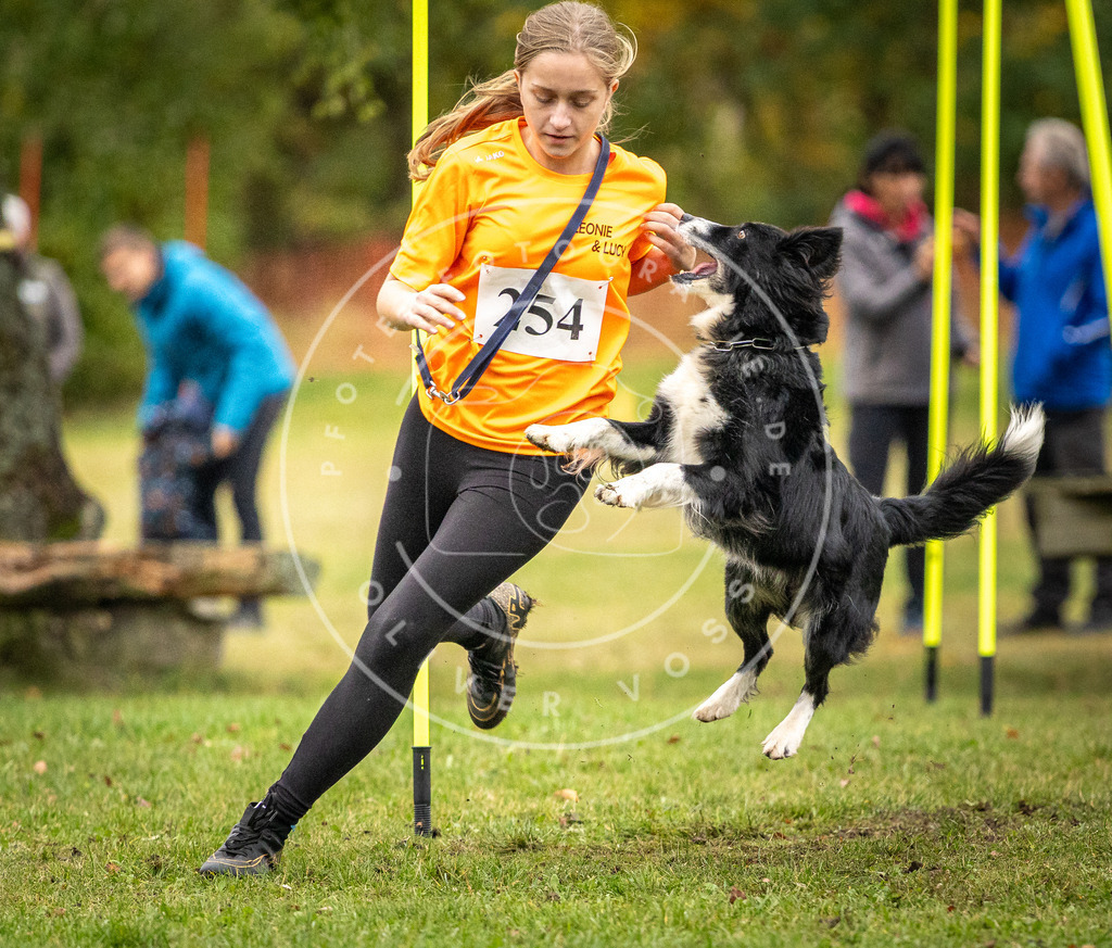 Pfotenfotografie_DV3A0567 | Hundefotografie, Tierfotograf, Pfotenfotografie, Fotoshooting Hund, Hunde Portrait, Hundesport, Hundeportraits, Heideshooting, Hunde, Sportfotograf, Hundefotograf, Turnierhundsport, THS,  - Realisiert mit Pictrs.com