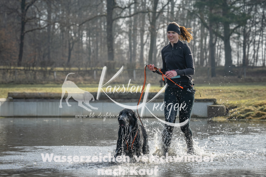 1020_ZZ96871 | kk-dogfotos