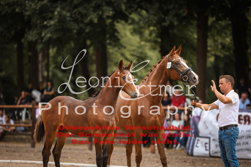 SaFohlen00144 | Leoni Ertmer Photography - Realisiert mit Pictrs.com